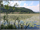 foto Lago di Fimon